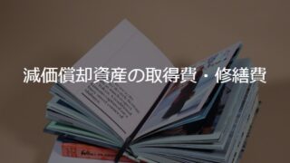 レビュー】１２．減価償却資産の取得費・修繕費（河手博、成松洋一共著